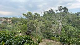 cul de sac residential development lot view 005