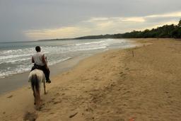 terraventuras beach horseback ride cocles beach 7