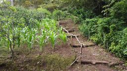 land with structures for wildlife rescue center in santa ana view 026