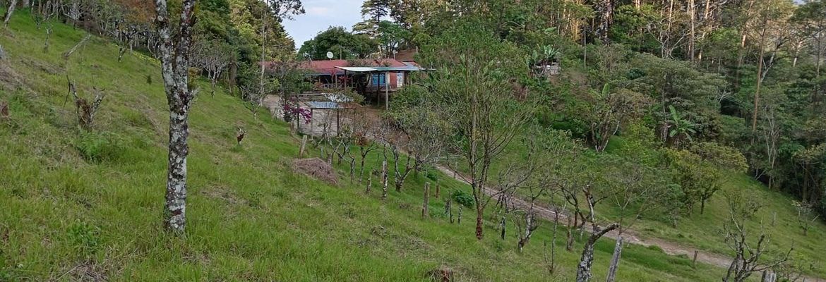 tourist development site with three rental units in cartago view 023