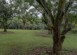 land for residential or industrial use near alajuela airport sjo view 005