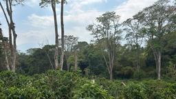 cul de sac residential development lot view 006