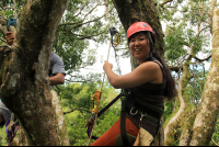        hacienda baru attraction tree climb sara 
  - Costa Rica