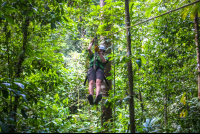 Man Zip Lining Osa Palmas Canopy Tour
 - Costa Rica