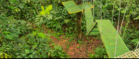 senderos aerios canopy tour bridges 
 - Costa Rica