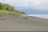        Platanares Beach Platanares Mangroves In Puerto Jimenez
  - Costa Rica