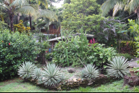 gardens at entredosaguas 
 - Costa Rica