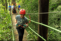 safari canopy tour run for cover 
 - Costa Rica