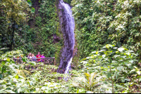 Foot Blue Morpho Waterfall Hanging Bridges Mistico Park
 - Costa Rica
