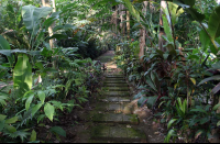        baldi hotsprings hiking trail 
  - Costa Rica