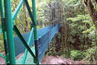        skywalk hangingbridge side view 
  - Costa Rica