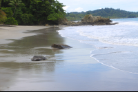playa playitas manuel antonio view east 
 - Costa Rica