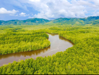       sierpe wetlands aerial views 
  - Costa Rica