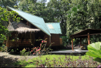 tree house lodge beach house 
 - Costa Rica