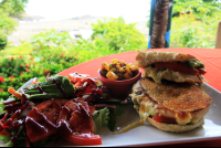        costa paraiso chicken pesto sandwich 
  - Costa Rica