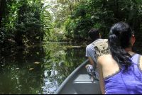 sloth sanctuary canoe ride 
 - Costa Rica
