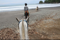        horseback beach puntaislita 
  - Costa Rica