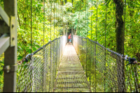 Person Crossing Hanging Bridges Mistico Park
 - Costa Rica