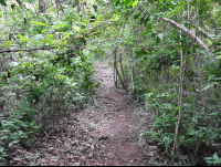        trail samara trails hike 
  - Costa Rica