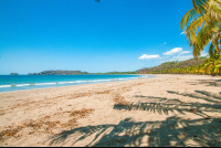 beach palm trees playa carrillo 
 - Costa Rica