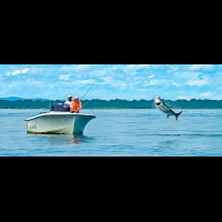 fishing at barra del colorado 
 - Costa Rica