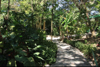 finca valverde path 
 - Costa Rica