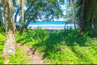 playa negra green 
 - Costa Rica