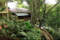        jungle beach hotel overview 
  - Costa Rica
