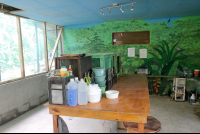 Lab At Montezuma Butterfly Gardens
 - Costa Rica