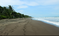 miss junies beach 
 - Costa Rica