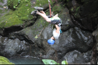 adr tour tarzan swing 
 - Costa Rica