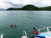 iguana catamaran tour snorkeling 
 - Costa Rica