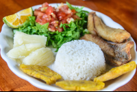 Tilapia Filet With Patacones Boild Cassava Rice And Salad Lunch Waterfall Tour Manuel Antonio
 - Costa Rica