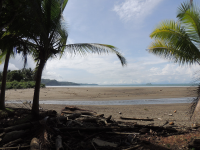 uvita beach attraction low tide 
 - Costa Rica