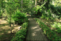 rainforest adventures gardens 
 - Costa Rica