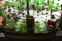 hibiscus tea water waiting casa spa hotel punta islita 
 - Costa Rica