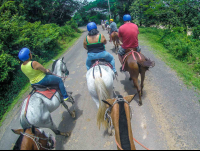 Short Street Stretch To Reach The Dirt Trail Horseback Riding Rincon De La Vieja
 - Costa Rica