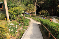 cloud forest lodge path 
 - Costa Rica