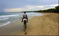        playa cocles horseback ride 
  - Costa Rica