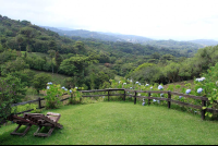 rancho makena views 
 - Costa Rica