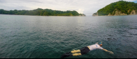 man snorekling morteros island 
 - Costa Rica