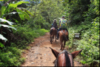 nauyaca waterfalls horses 
 - Costa Rica