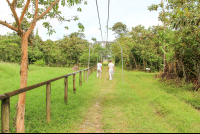 Guide Leading To Historic Site
 - Costa Rica