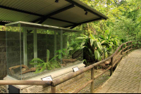 rainforest adventures terrariums 
 - Costa Rica