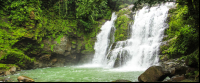 nauyaca waterfalls cascades 
 - Costa Rica