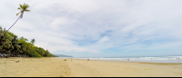 Surfing Lesson At Playa Hermosa Santa Teresa
 - Costa Rica