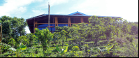 don juan coffee farm 
 - Costa Rica