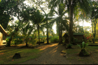 mawamba grounds 
 - Costa Rica