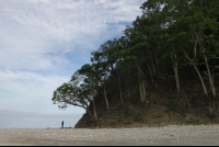        Man Standing By Chora Island Cliff
  - Costa Rica