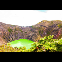 irazu volcano crater with poor man umbrella plants
 - Costa Rica